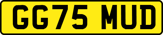 GG75MUD