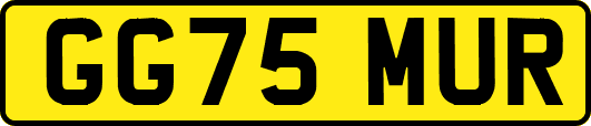 GG75MUR