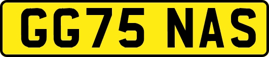 GG75NAS