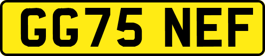 GG75NEF