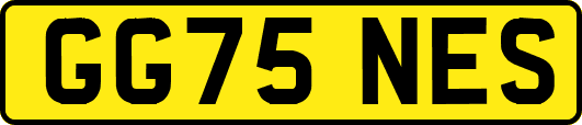 GG75NES