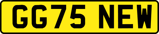 GG75NEW