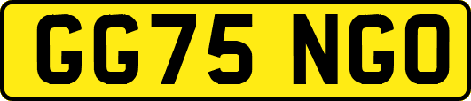 GG75NGO