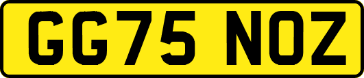 GG75NOZ