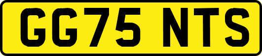GG75NTS