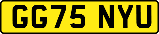 GG75NYU