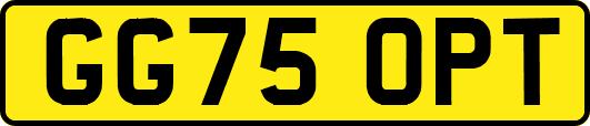 GG75OPT