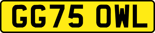 GG75OWL