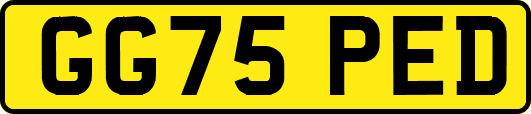 GG75PED