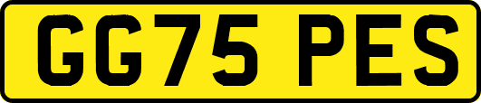 GG75PES