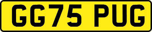 GG75PUG