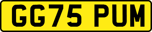 GG75PUM