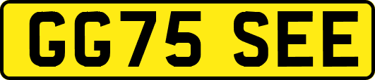 GG75SEE