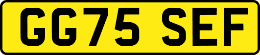 GG75SEF