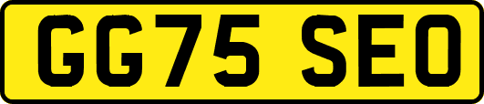 GG75SEO