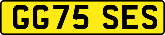 GG75SES
