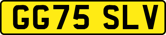 GG75SLV