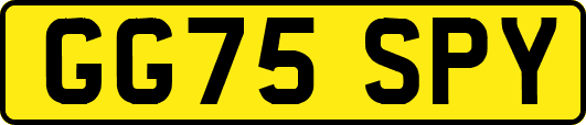 GG75SPY