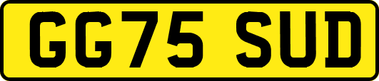 GG75SUD