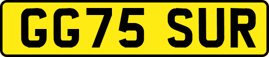 GG75SUR