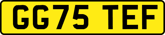 GG75TEF