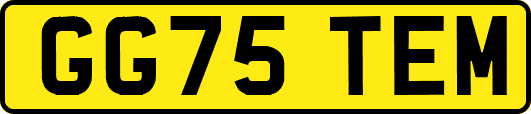 GG75TEM