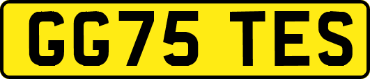 GG75TES