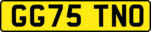 GG75TNO