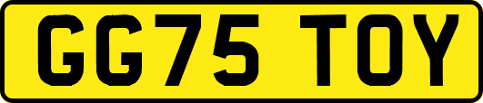 GG75TOY