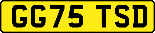 GG75TSD
