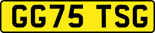 GG75TSG
