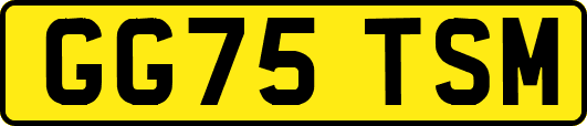 GG75TSM