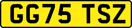 GG75TSZ