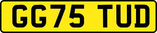 GG75TUD