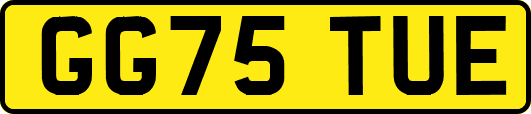 GG75TUE