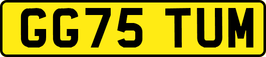 GG75TUM