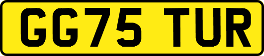 GG75TUR