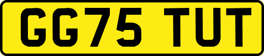 GG75TUT