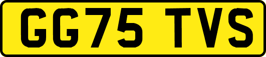 GG75TVS