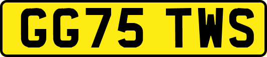 GG75TWS