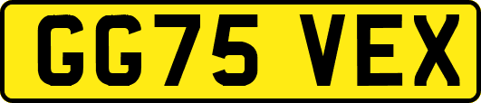 GG75VEX