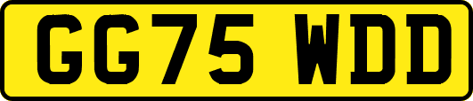GG75WDD