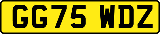 GG75WDZ