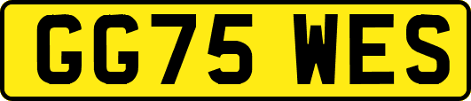 GG75WES