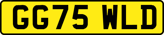 GG75WLD