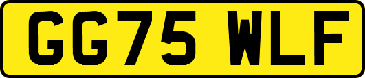 GG75WLF
