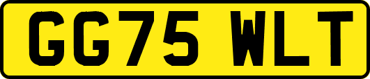 GG75WLT