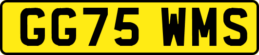 GG75WMS