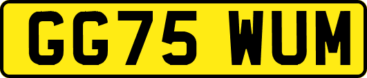 GG75WUM