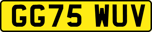 GG75WUV